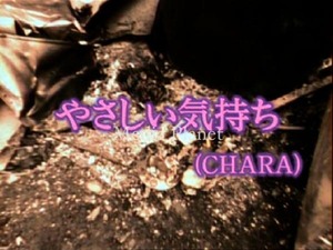 VCDカラオケ】CHARA*やさしい気持ち 含/全17曲/BMB351/mdpkrvb