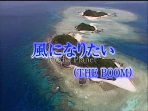 VCDカラオケ】THE BOOM*風になりたい 含/17曲/BMB302/mdpkrvb