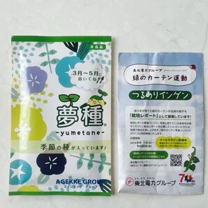 【非売品】夢種 季節の種 蒔く時期3月〜5月&つるありインゲン 2個セット