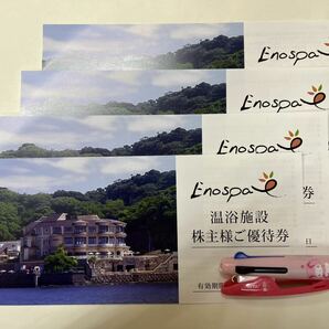 飯田グループホールディングス株主優待券 江の島アイランドスパ 温泉 ４枚セットの画像1