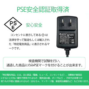 GOODGOODS 充電器 AC充電器 専用充電器 グッド・グッズ専用充電器 PSE安全認証 YC-02W YC-06H専用充電器 ZC02-S