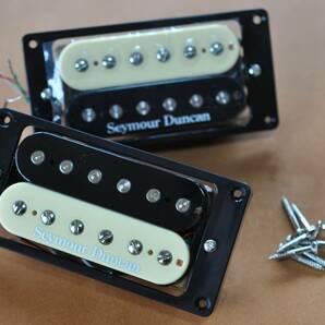 Seymour Duncan PU COVER + ピックアップ １セット２個 の画像4