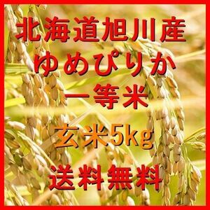 令和5年産 北海道旭川産 ゆめぴりか 一等米 玄米5kg 全国送料無料