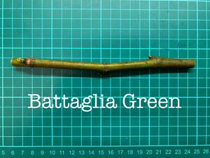 いちじく Battaglia Green 挿し穂 1本（穂木・挿木）@1626