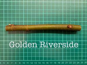 いちじくGolden Riverside 挿し穂 1本（穂木・挿木）@1699