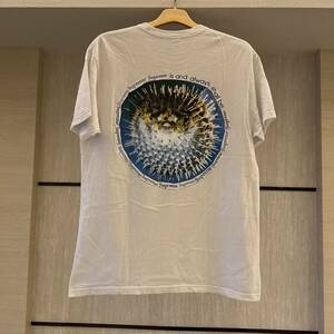 中古 M 23SS Supreme Blowfish Tee White シュプリーム ブロウフィッシュ Tシャツ ホワイト