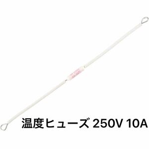 uxcell 温度ヒューズ 250V 10A 熱ヒューズセラミックス