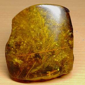 【虫入・231g】 琥珀 アンバー 鉱石 化石 原石 宝石 ジュエリー 誕生石 鑑賞石 自然石 天然石 鉱物 インテリアの画像4