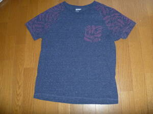 MENS' 紺のARIZONAの半袖T-シャツ LARGE 440