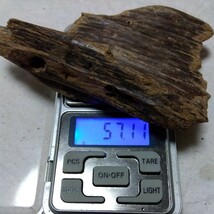 【極品】タニ沈香香木 57.11g　伽羅 羅国 寸門多羅 真南蛮 眞那伽 お香 聞香 香道具 茶道具 アロマ_画像7