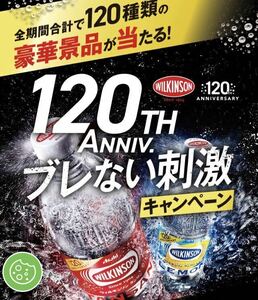 レシート懸賞 ウィルキンソン 炭酸 12ポイント アサヒ飲料 12Pt