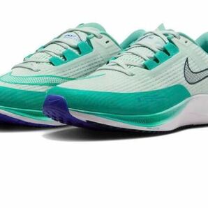 Nike CT2405-399 Rival Fly 3 Barely Green/Clear Jade/Emerald Rise/Deep Jungle サイズ27.5cm箱付きの画像1