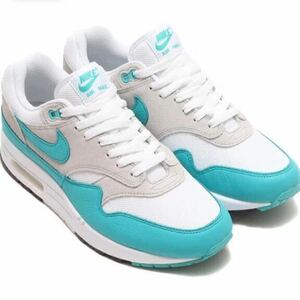 [ Nike ] air max 1 SC [AIR MAX 1 SC] neutral gray / white / black / clear Jade DZ4549-001 size 29.