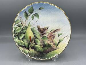 希少 英国 スポード ミソサザイ 鳥 フリル 皿 飾り皿 絵皿 ⑥⑥ レア (763)
