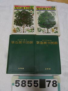 b5855　原色樹木図鑑　(1) (2) ２冊　コンパクト版 北隆館　