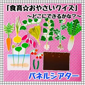 パネルシアター　食育☆おやさいクイズ　野菜　保育知育教材　幼稚園　療育　誕生会　発達支援　夏　秋　春