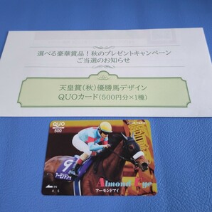 JRA 「選べる豪華商品！秋のプレゼントキャンペーン」当選品（アーモンドアイ）クオカード（500円・未使用）１枚 の画像1