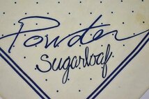 ＠美品 83年 パウダーシュガーローフ Powde sugarloaf バンダナBV34 アメリカ製 ビンテージ_画像3