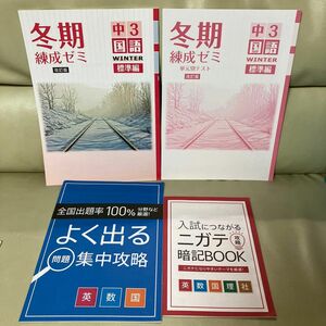 冬期錬成ゼミ　中3国語　標準編　塾　テキスト　進研ゼミ　受験　ベネッセ　中学　高校