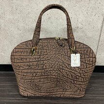 【美品】 African Antelope アフリカン アンテロープ ハンドバッグ Genuine エキゾチックレザー　041919w/T2（120）_画像1