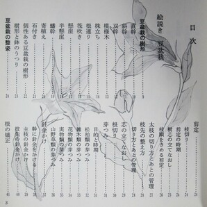 絵説き 豆盆栽/小づくりのコツと手入れのポイント■安藤吾路/片山貞一■池田書店/昭和51年/初版の画像2