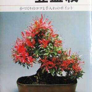 絵説き 豆盆栽/小づくりのコツと手入れのポイント■安藤吾路/片山貞一■池田書店/昭和51年/初版の画像1