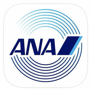 ANA 3000マイル クレカOK 希望口座に加算の画像1