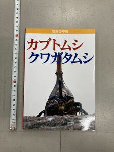  new goods world. rhinoceros beetle stag beetle paper thing 1 pcs. ( search insect Kabuto stag beetle kana bn insect larva illustrated reference book magazine insect magazine Hercules kokwa)