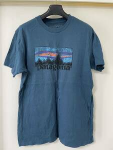 【美品】Patagonia パタゴニア　Tシャツ　ブルー系　メンズLサイズ(スリムフィット) 