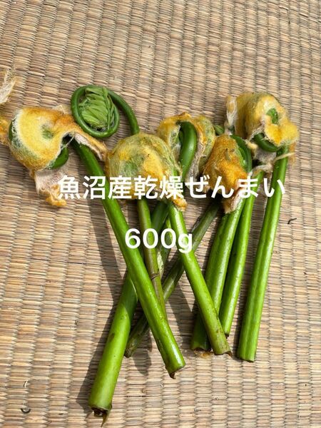 魚沼産乾燥ぜんまい600g 山菜