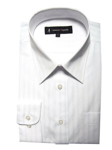 21A04-2-3Lサイズ 長袖 シャツ 簡単ケア レギュラーカラー ワイシャツ 白ドビー ホワイト ストライプ メンズ ビジネス