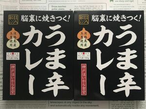 神戸はいから食堂　うま辛カレー　2個