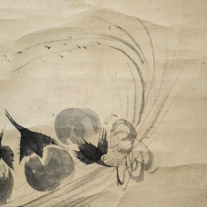 1797【真作】 一条忠香 茄子図 幕末の公卿 昭憲皇太后の父の画像9