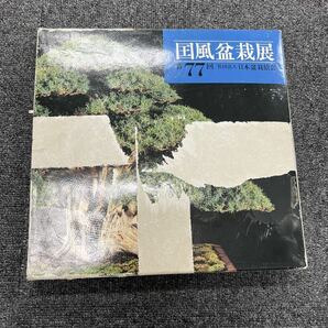 U3 国風盆栽展 第50-第63,第71-第77 日本盆栽協会 盆栽 まとめ売りの画像6