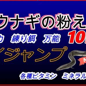 送料無料 ハイジャンプ ウナギ成魚用養鰻場 2キロｇ メダカ 練り餌 粉エサ 稚魚  小魚 罠餌 釣り 活性 集魚力強の画像5