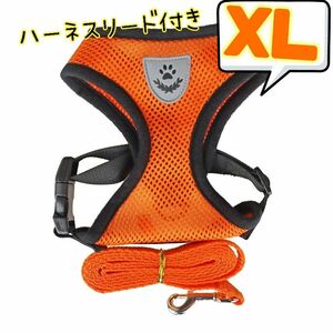 残りわずか！セール！XL オレンジ リード付きハーネス 首輪 胴輪 散歩 ペット メッシュ 可愛い 軽量 速乾 犬