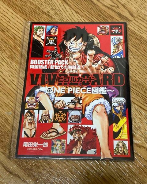 ワンピース ONEPIECE ビブルカード ONEPIECE図鑑 ルフィ