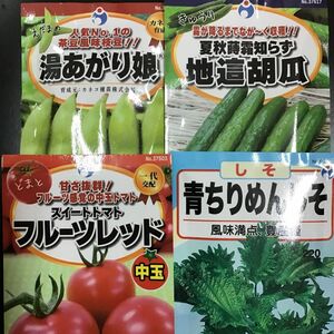 野菜の種　4袋新品　未開封　春撒き用