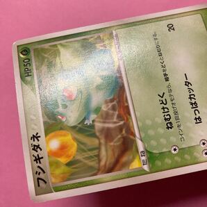 【ポケモンカードゲーム/PCG ランダム構築スターター 「フシギバナ★草」(001/052：フシギダネ)】の画像7