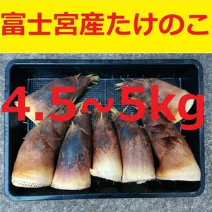 静岡県富士宮産たけのこ 5kg弱 無農薬 Y501