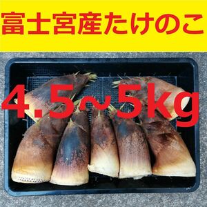 静岡県富士宮産たけのこ 5kg弱 無農薬 Y502