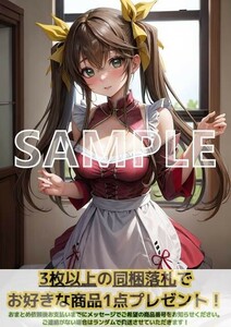 8579 凰鈴音 IS インフィニットストラトス A4 同人 イラスト 美少女 コスプレ Anime アニメ イラストアートポスター セクシーアート acg.