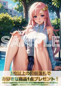 J115 ラクスクライン 機動戦士ガンダムSEED DESTINY A4 同人 イラスト 巨乳 美少女 コスプレ Anime アニメ ポスター セクシーアート acg.