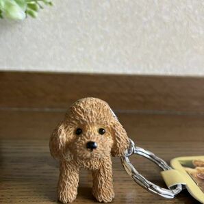 かわいい犬のフィギュアキーホルダー♪ トイプードル トイプー アプリコット キーリングの画像4
