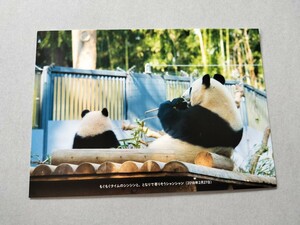  car n car nsinsin postcard every day Panda Ueno zoo 2018.2.27