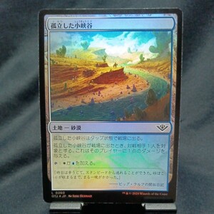 ☆MTG　孤立した小峡谷　foil・OTJ