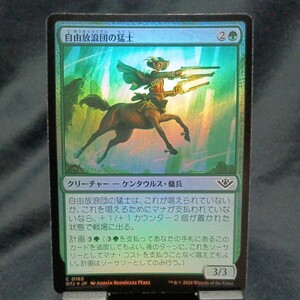 ☆MTG　自由放浪団の猛士　foil・OTJ