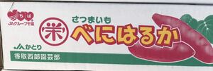 T様専用 ※他の人の入札はご遠慮ください。。。。