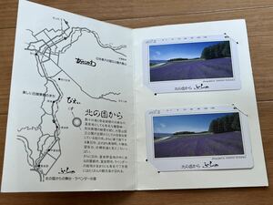 北海道　富良野　ラベンダー　未使用　テレホンカード　テレカ　105度数×2枚　北の国から　ふらの