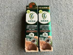 利尻昆布 炭酸カラーシャンプー 180g×2本 ダークブラウン 白髪用 自然派club サスティ